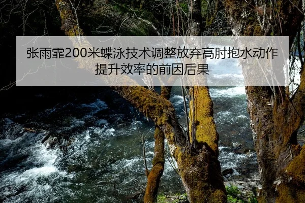 张雨霏200米蝶泳技术调整放弃高肘抱水动作提升效率的前因后果